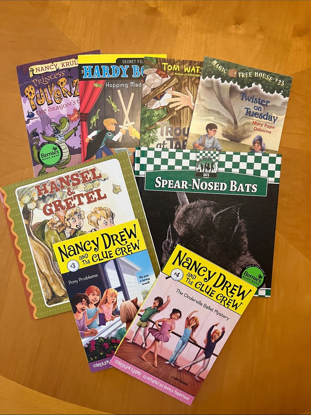 Children's Book Set LOT OF 8 BOOKS Ages 6-9 NWOT